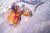 Schweizer Alpinist Dani Arnold im Schnee